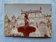 GDANSK FONTANNA NEPTUNA