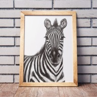 PLAKAT ozdobny A3 420x297 mm ZEBRA portret sawanna styl safari MONTESSORI
