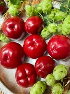 Papryka Pomidorowa czerwona słodka nasiona kolekcjonerskie