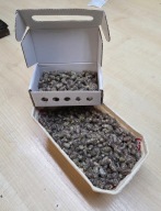 KOKONY PSZCZOŁY MURARKI 100szt +10% i RURKI 100 szt GRATI PUDEŁKO LĘGOWE