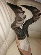 Rogi antylopa hartebeest,bawolec