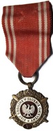 Medal „Siły Zbrojne w Służbie Ojczyzny” w stopniu brązowym (V).