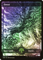 Karta Magic: The Gathering Forest 276 VOW *Foil*