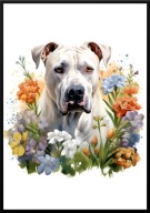 A2 PLAKAT PIES W KWIATACH RASA DOG ARGENTYŃSKI