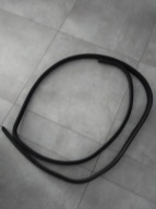 USZCZELKA DRZWI PRZEDNICH PRAWA SCENIC 1FL