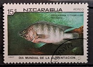 Ryby (kas) - luzak - do uzupełnień 13/3