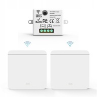 Bezprzewodowy włącznik światła z 2 montowanymi na ścianie RF 433MHz 10A