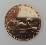 Kanada 1 dolar, 2003 UNC rzadka