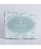 Phoenixy Poly Zestaw żelowy do paznokci z lampa UV/LED