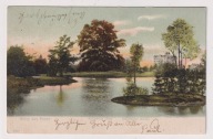 Poznań Ogród Botaniczny ok.1900r. 100-letni Wiąz l808
