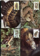 A51562)WWF-Maximum Karty Gady i Plazy: Jamaika 591 - 594