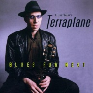 Elliott Sharp's Terraplane - Blues for next 2CD