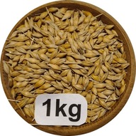 Jęczmień Konsumpcyjny/Paszowy, 1kg, 2025r