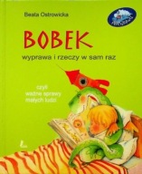BOBEK WYPRAWA I RZECZY W SAM RAZ CZYLI WAŻNE SPRAWY MAŁYCH LUDZI OSTROWICKA