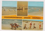 Koń Konie nad Bałtykiem 1986r. l638