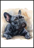A2 OBRAZ PLAKAT PIES PLAKAT BULDOG FRANCUSKI