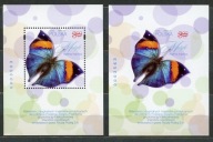 Fi 5372** Motyl - nd A i B NOWODRUK 2024