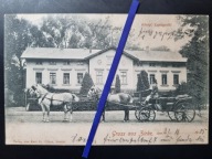 SIERAKÓW 1905 Stadnina Koni Stado Dorożka ZIRKE POZNAŃ