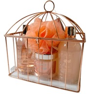 Zestaw kosmetyków Gloss klatka Floral Collection Róża 6w1