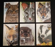 Portugalia 2016 zwierzęta ssaki - karty maksimum