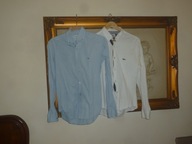 KOSZULA-LACOSTE-KOSZULE 2SZTUKI-1 KOMPLET-R-S.