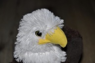 pluszak maskotka ładny Orzeł bielik Wild Republic 30 cm