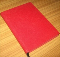 BALLADA O SŁONECZNIKU Jan Kasprowicz /1908