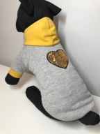 UBRANKO ciepła bluza dla psa typu york chihuahua S