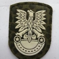 Naszywka wojskowa orzełek żaba