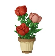 Wysyłka 24 h Kwiaty Róże w Doniczce na prezent Bez oryginalnego pudełka