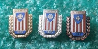 RESOVIA RZESZÓW HONOROWA ZŁOTA SREBRNA BRĄZOWA WERSJA MAŁA KOMPLET - 3 SZT.