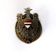 Odznaka 10 Pułk Ułanów