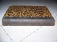 VERNE - VINGT MILLE LIEUES SOUS LES MERS - 2000 MIL PODMORSKIEJ ŻEGLUGI