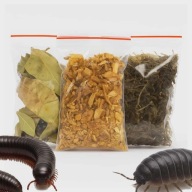 ZESTAW DLA ISOPODÓW, WIJI, ŻUKÓW LIŚCIE DĘBU PRÓCHNO MECH SPHAGNUM PODŁOŻE