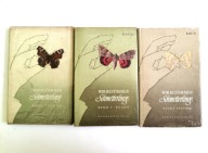 BIAŁY KRUK! OZNACZANIE MOTYLI! Wir bestimmen Schmetterlinge 1,3,4 ZESTAW