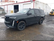 Cadillac Escalade 2024 Cadillac Escalade 4WD 4dr Sport Platinum 6.2 Benzyna