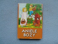 ANIELE BOŻY KSIĄŻKA