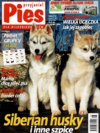 Przyjaciel Pies 6/2005