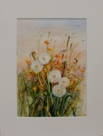 Akwarela pt. Dmuchawce na łące 2