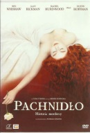 PACHNIDŁO ( Dustin Hoffman ) DVD FOLIA