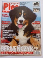 Przyjaciel Pies nr 2 2013 Berneńczyk +plakaty Owczarek szkocki Nowofundland