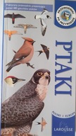 Ptaki Polski i Europy Larousse ; jak nowa