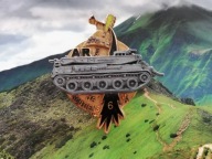 ODZNAKA WOJSKOWA -FRANCJA