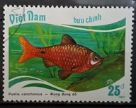 Ryby (kas) - luzak - do uzupełnień 13/5