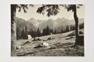 FOT. ARTYSTYCZNA PRL STEFAN BURNATOWICZ FOTO JEDNOŚĆ ZAKOPANE ZOBACZ!