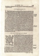 Cosmographiae, Münster, 1572, 1 karta, s. 1303-1304