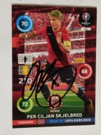 Karta panini autograf Norwegia Skjelbred Road to Euro 2016
