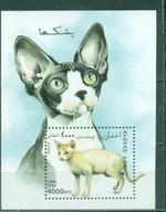 KOT. AFGAN. MNH. Bl. A.1996r.