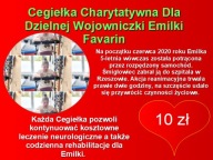 Cegiełka Charytatywna Dla Dzielnej Wojowniczki 10 zł Emilki Favarin