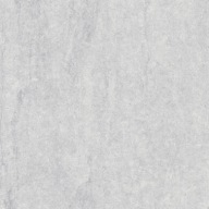 DIGNITY LIGHT GREY R10 MAT REKTYFIK CERRAD 60*60 G2 m2 zamów